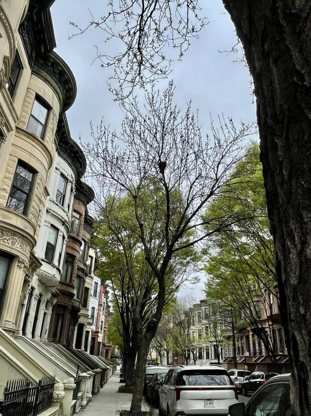 Nyc Townhouse Apartment New York Exteriör bild