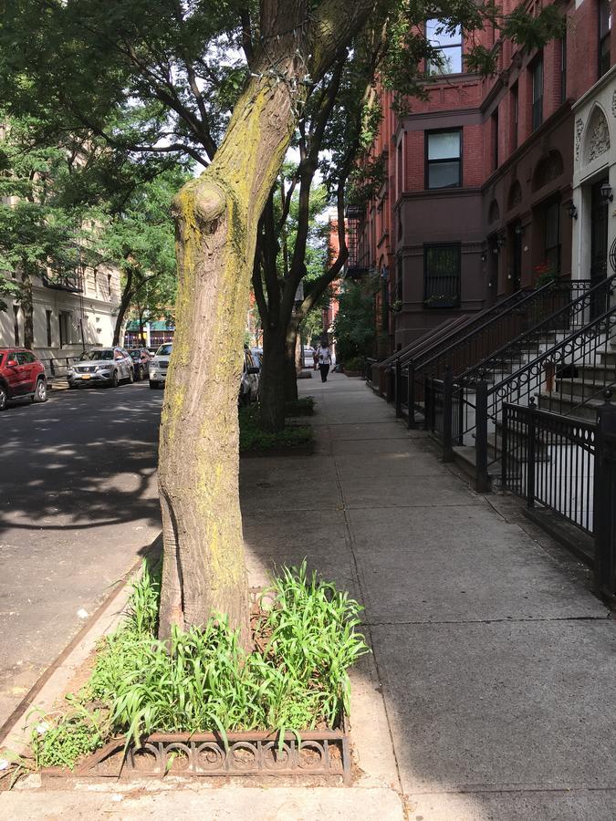 Nyc Townhouse Apartment New York Exteriör bild